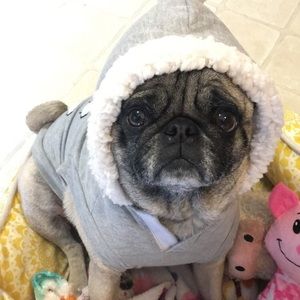 Meet your Posher, Kristina